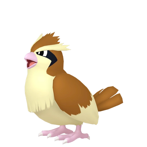 Pidgey - Normal/Flying type Pokemon
