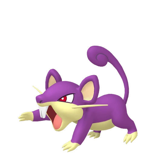 Rattata - Normal type Pokemon