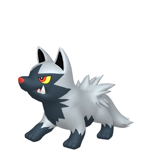 Poochyena - Dark type Pokemon