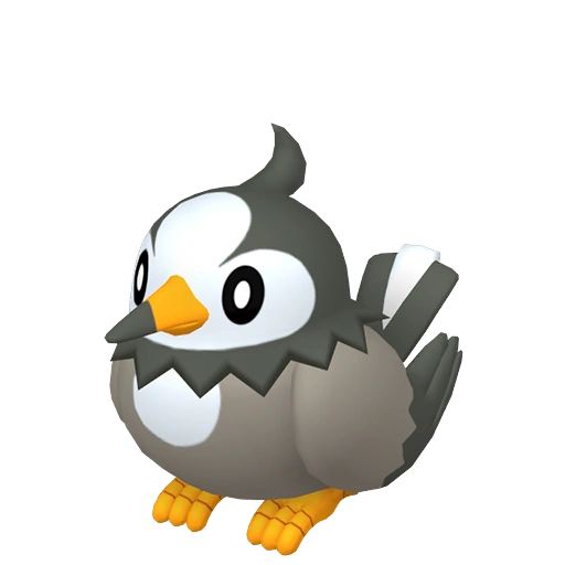 Starly - Normal/Flying type Pokemon