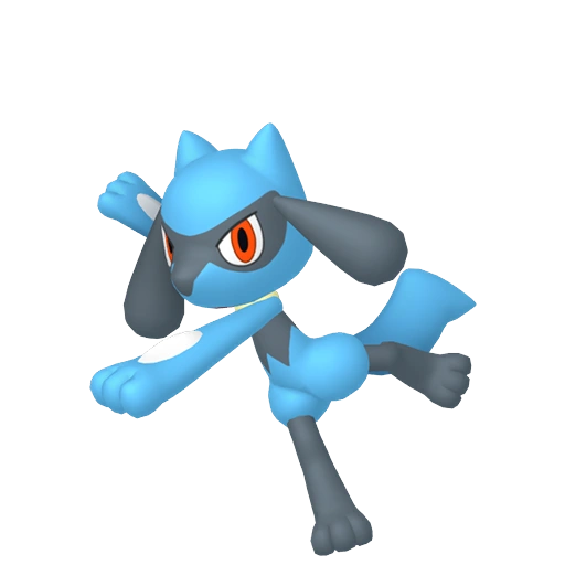 Riolu - Fighting type Pokemon