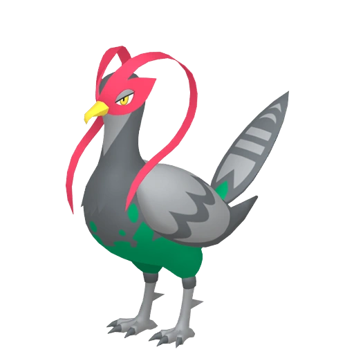 Unfezant - Normal/Flying type Pokemon