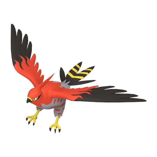 Talonflame - Fire/Flying type Pokemon