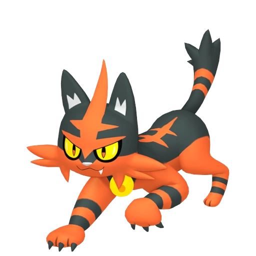 Torracat - Fire type Pokemon